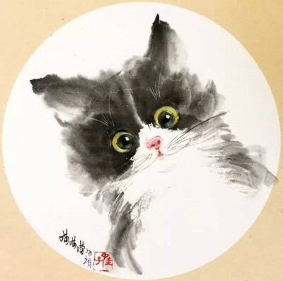 吕振娃—画猫