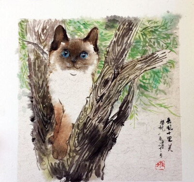 吕振娃—画猫