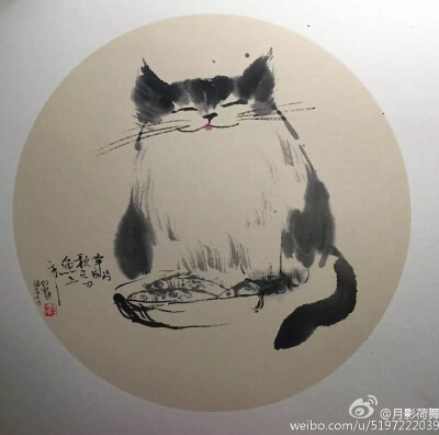 吕振娃—画猫