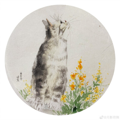 吕振娃—画猫