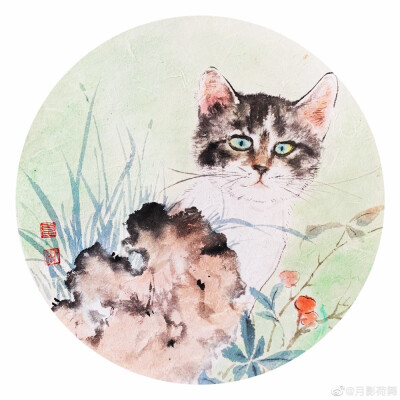 吕振娃—画猫