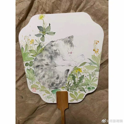 吕振娃—画猫