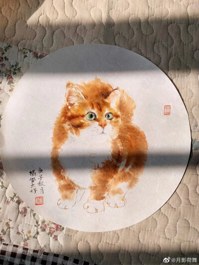 吕振娃—画猫