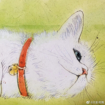 吕振娃—画猫