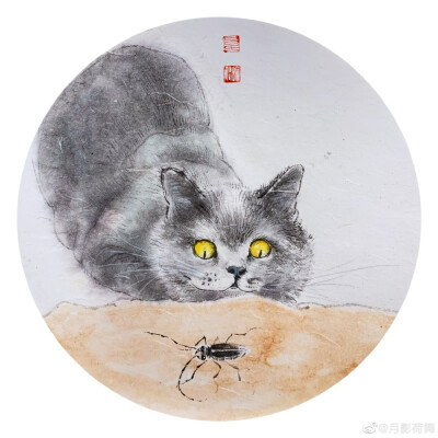 吕振娃—画猫