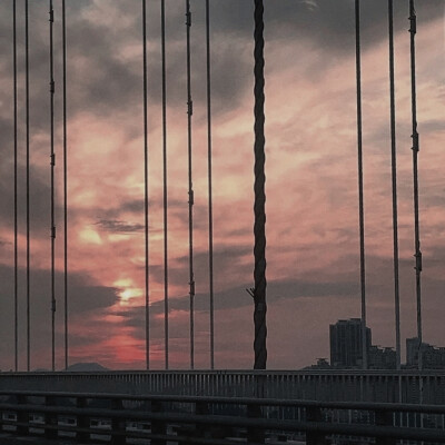  /“日落了，
只剩玫瑰一片飞鸟衔来落花续写一段雨漫年华。”
IU 李知恩
许景