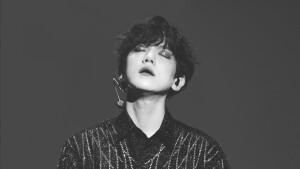 抱图请收藏点赞