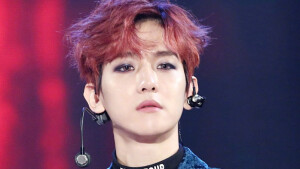 抱图请收藏点赞