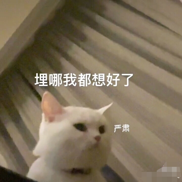 福尔摩喵