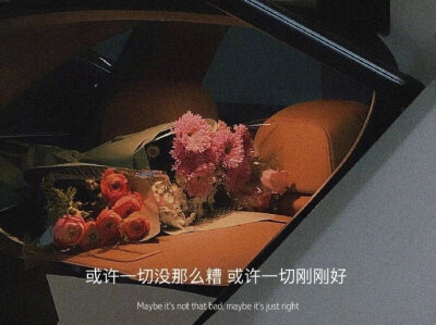 坏情绪也不要都说给别人听 不管怎么样
夜晚你就睡觉吧 白天你就出去散散心
阴天你就吃好喝好 雨天你就听听雨 ​​​​