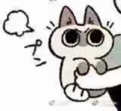 猫猫表情包。