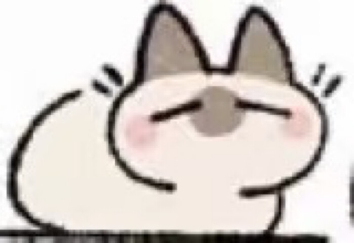 猫猫表情包。
