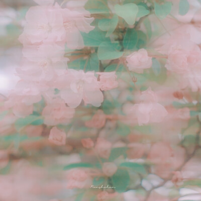 “我站在湖边，以为我站在海边”
云，海与花朵
图源微博任水寒
