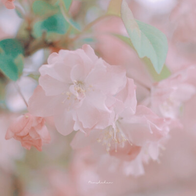 “我站在湖边，以为我站在海边”
云，海与花朵
图源微博任水寒
