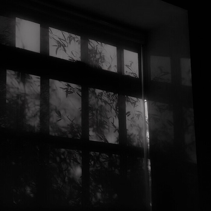 
如何做一位合格的猎者 先猎人 再俘心
