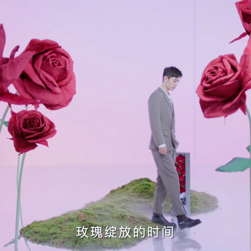 肖战
roseonly小玫瑰