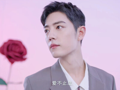肖战
roseonly小玫瑰