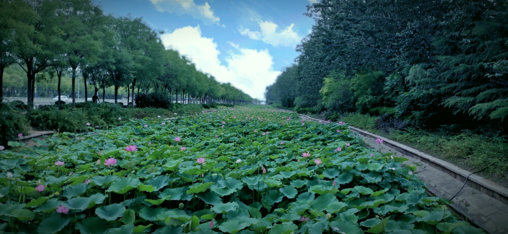 夏天风景拍摄~（侵权删）