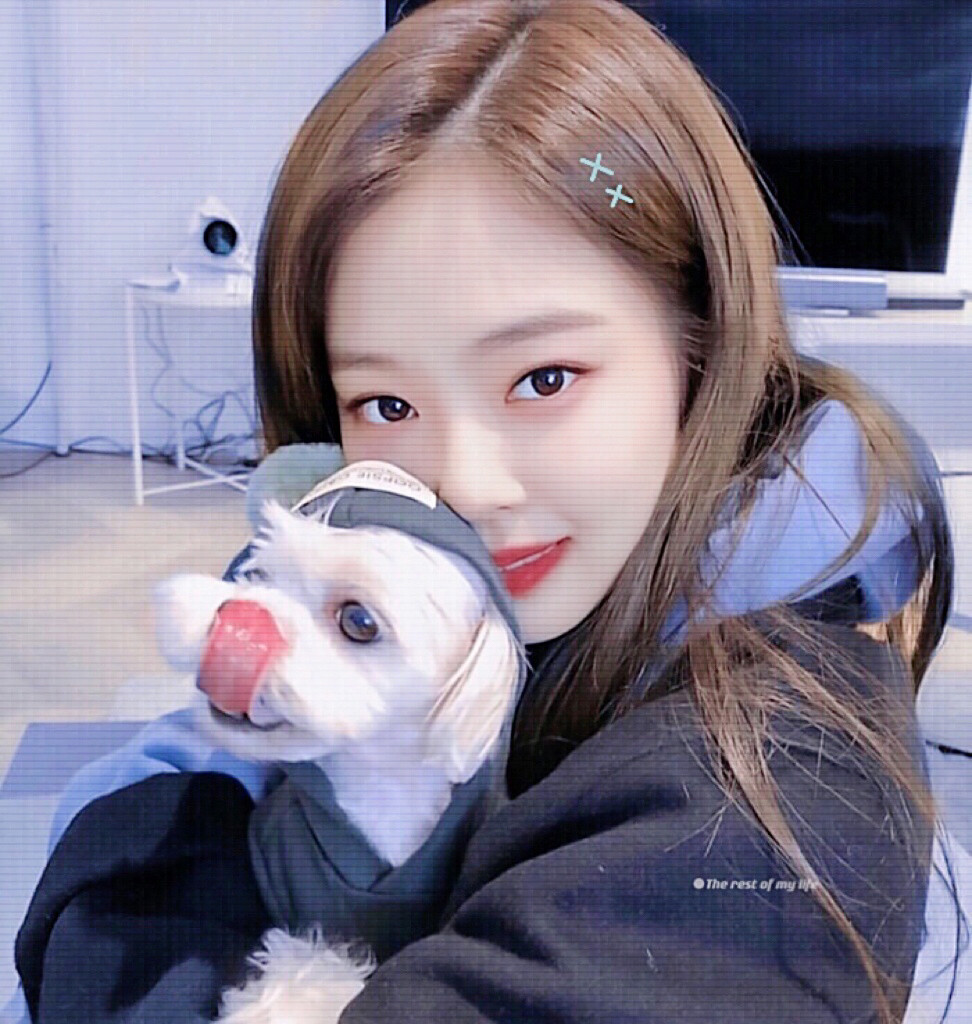 今天想我了吗●Jennie