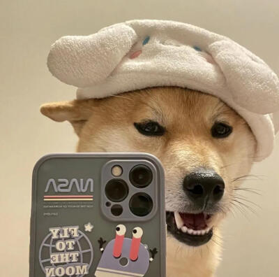 可爱萌宠#喵星人#汪星人#‖你的陪伴不是最长情但却是最常情。