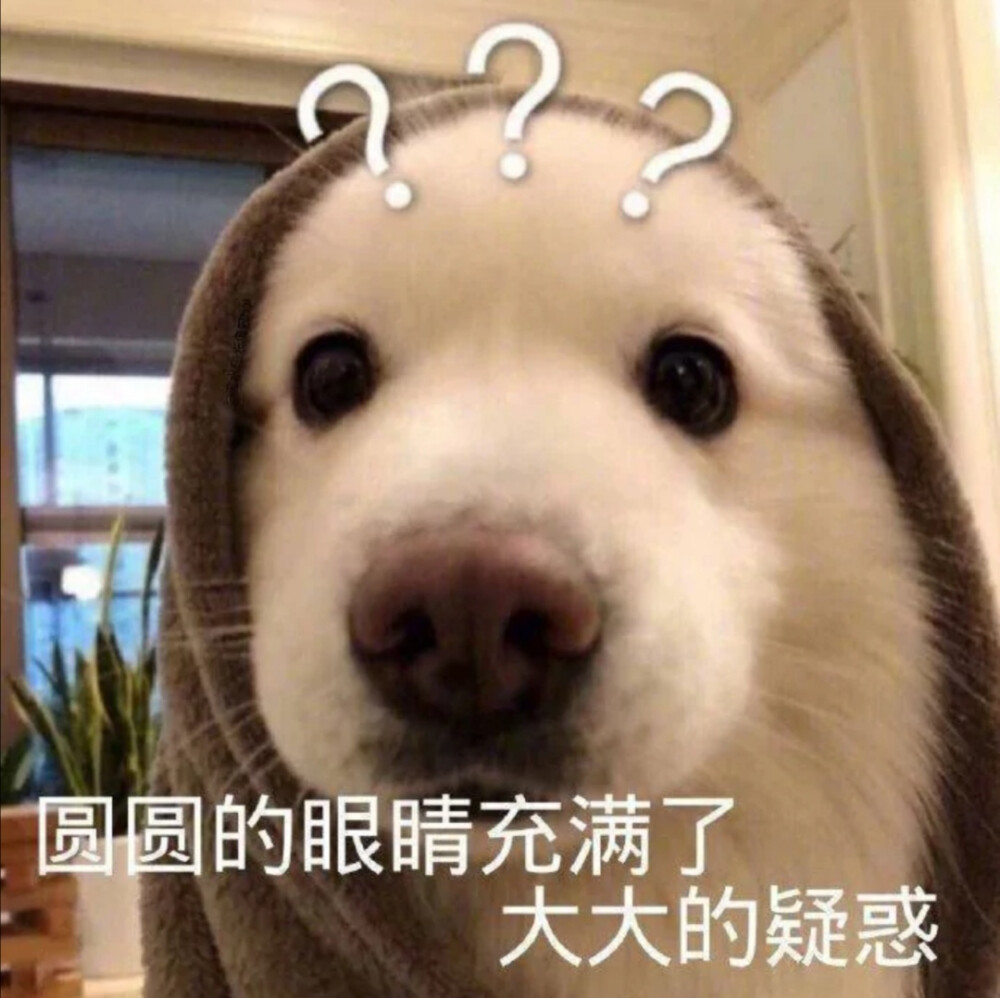 搞笑表情包