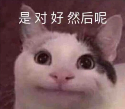 表情包