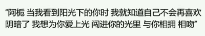 当我爱你时 风中摇曳的松树 要以它们丝绒般的叶子唱你的名字