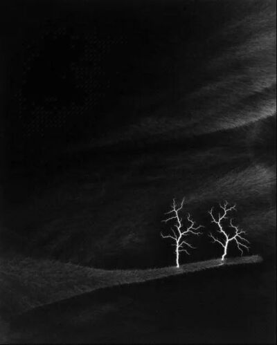 “物影摄影”采用集光灯照射，将事物的影像直接投影在感光相纸上，形成一种特殊照片。
在感光相纸上，能够抽象地记录物体的形态、轮廓及光线。物影摄影照片是对客观世界的诗意回应，可以带给观者一种与众不同的视…