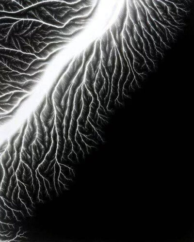 “物影摄影”采用集光灯照射，将事物的影像直接投影在感光相纸上，形成一种特殊照片。
在感光相纸上，能够抽象地记录物体的形态、轮廓及光线。物影摄影照片是对客观世界的诗意回应，可以带给观者一种与众不同的视…