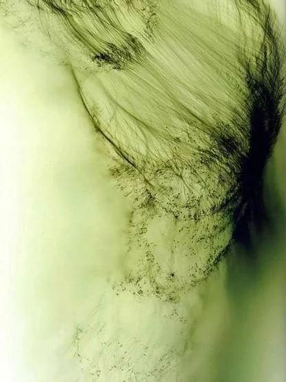 “物影摄影”采用集光灯照射，将事物的影像直接投影在感光相纸上，形成一种特殊照片。
在感光相纸上，能够抽象地记录物体的形态、轮廓及光线。物影摄影照片是对客观世界的诗意回应，可以带给观者一种与众不同的视觉体验。
