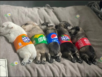 九敏，太可爱了叭