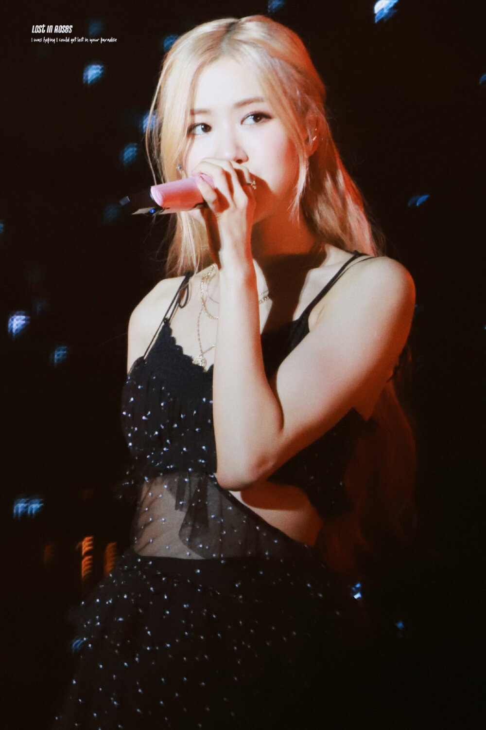 rosé - 高清图片，堆糖，美图壁纸兴趣社区