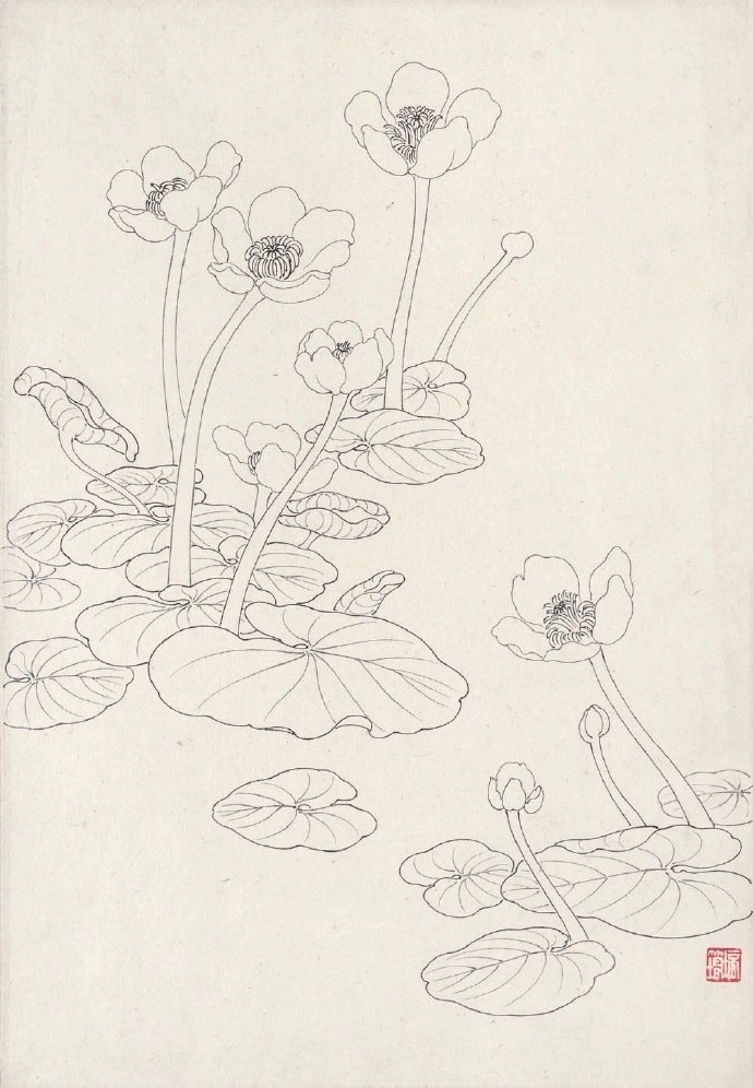 花卉白描系列~ by.章培筠
