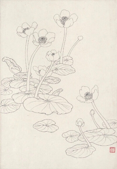 花卉白描系列~ by.章培筠
