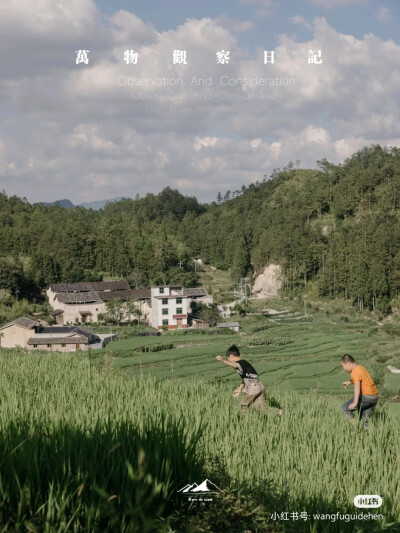 风景