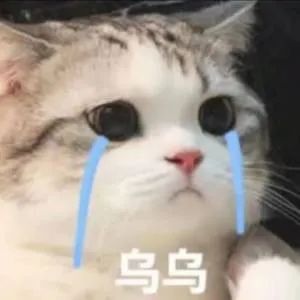 动物