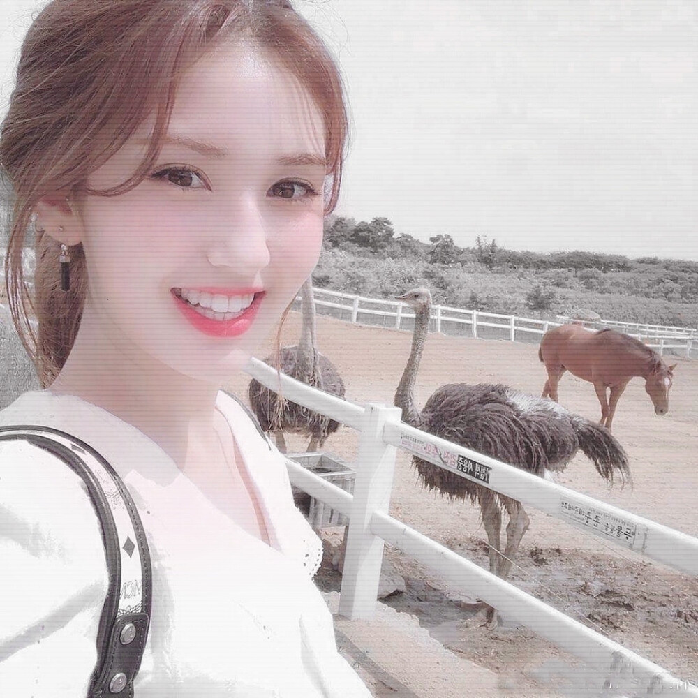 
somi
