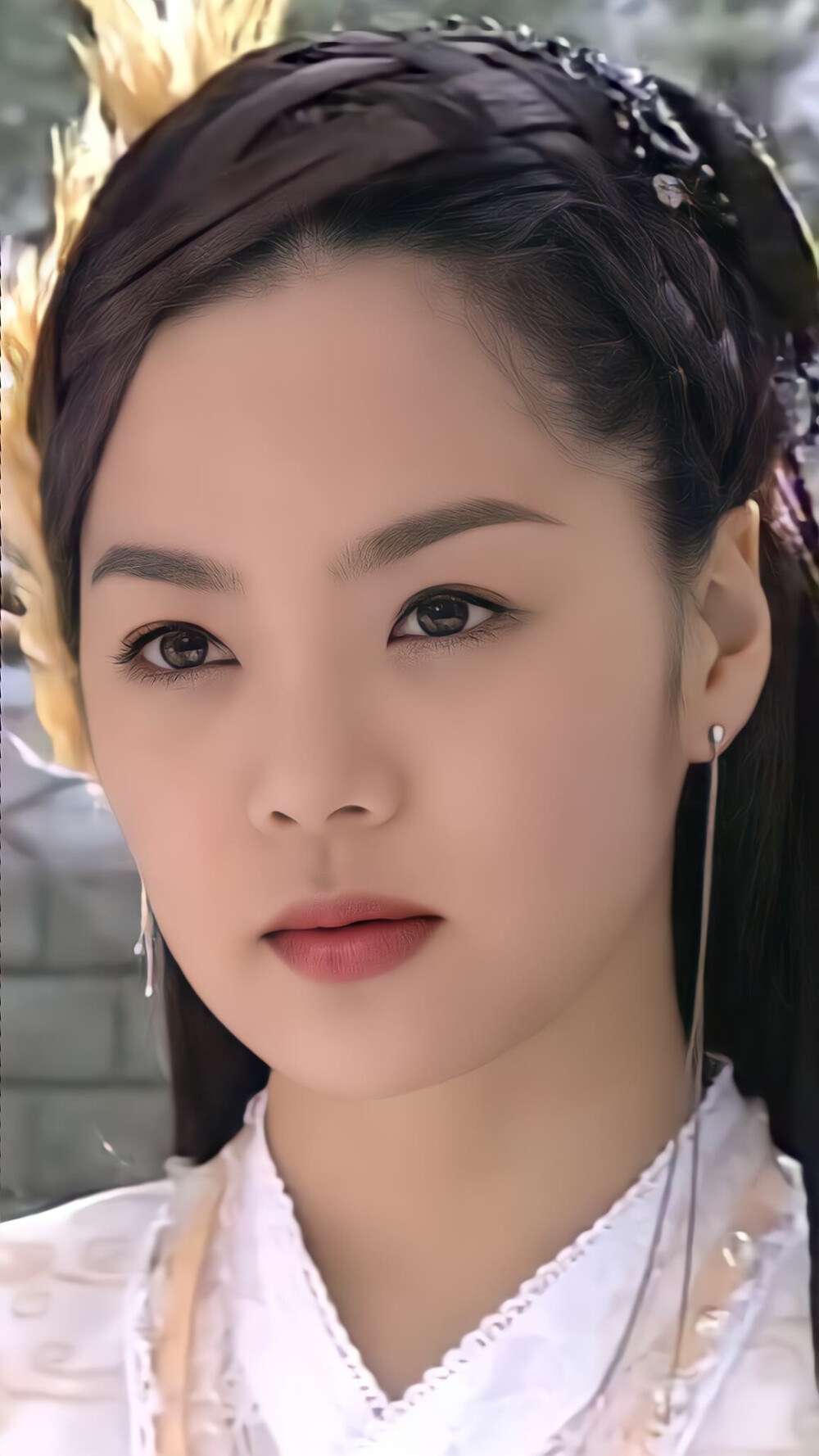 电视剧杨门虎将蔡琳潘语嫣