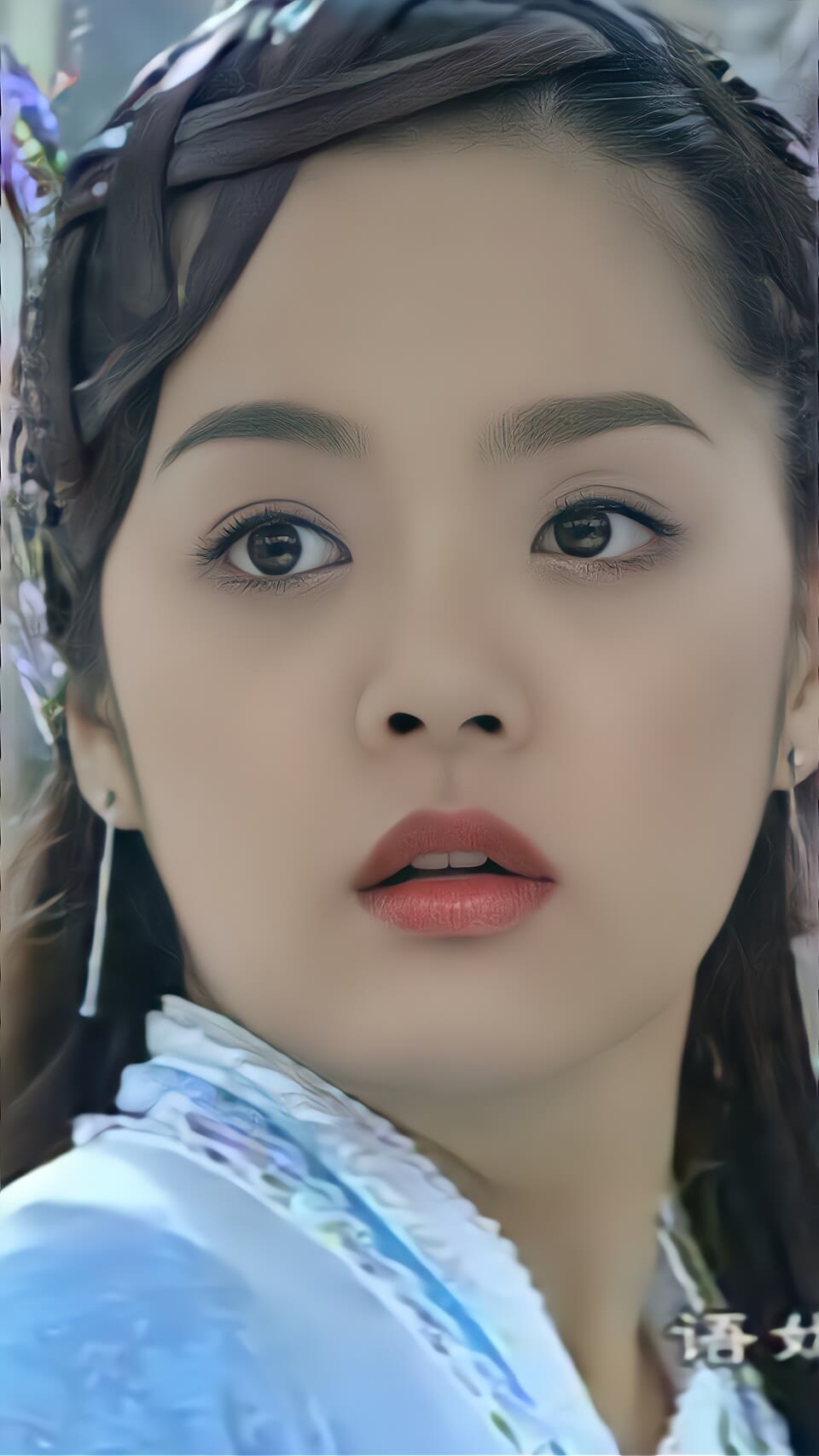 电视剧杨门虎将蔡琳潘语嫣