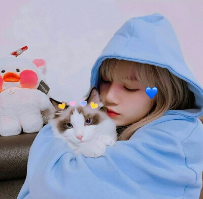 Lisa 头像
