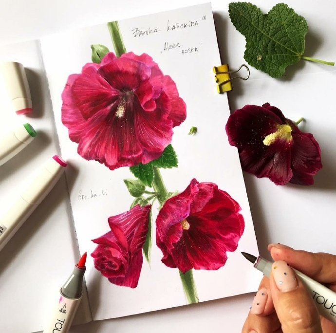 马克笔手绘集~ by.bro_ka_li ​​​​
