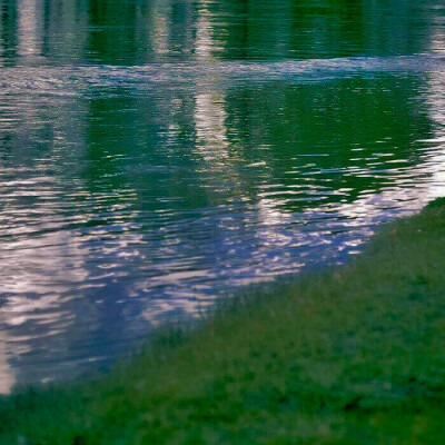 
池边鹊(Magpies by the pond)