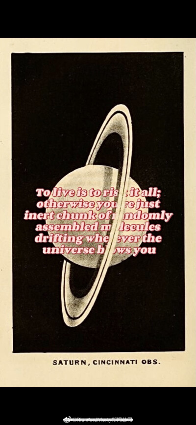 瑞克和莫蒂 壁纸 微博 侵删