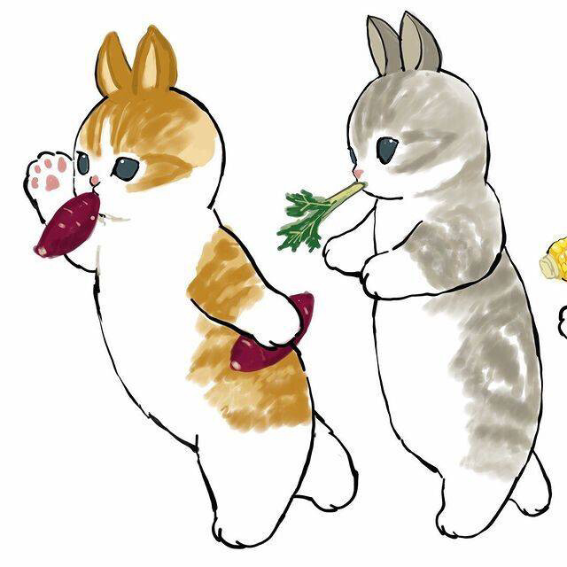 这几个猫咪是Bunny化了？！ԅ(✧_✧ԅ)