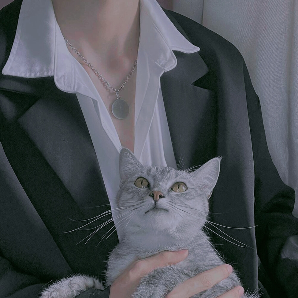 男生头像
沈白潇