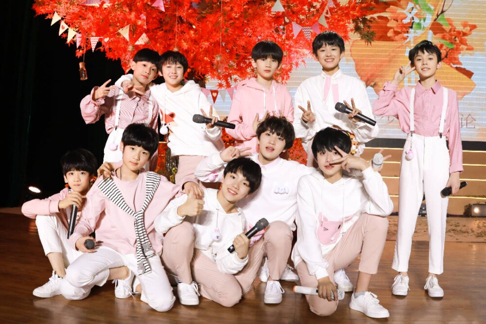 TF家族