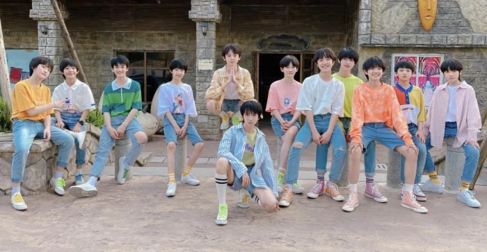 TF家族