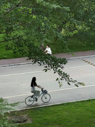 清凉夏日壁纸