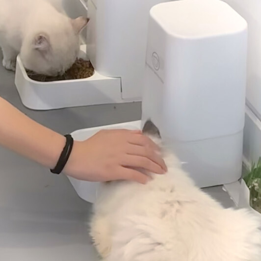 二传注明堆糖占课