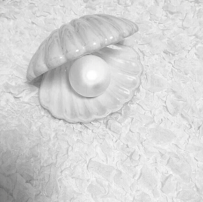 
海边鹤(Pearl elf × Paper Crane)